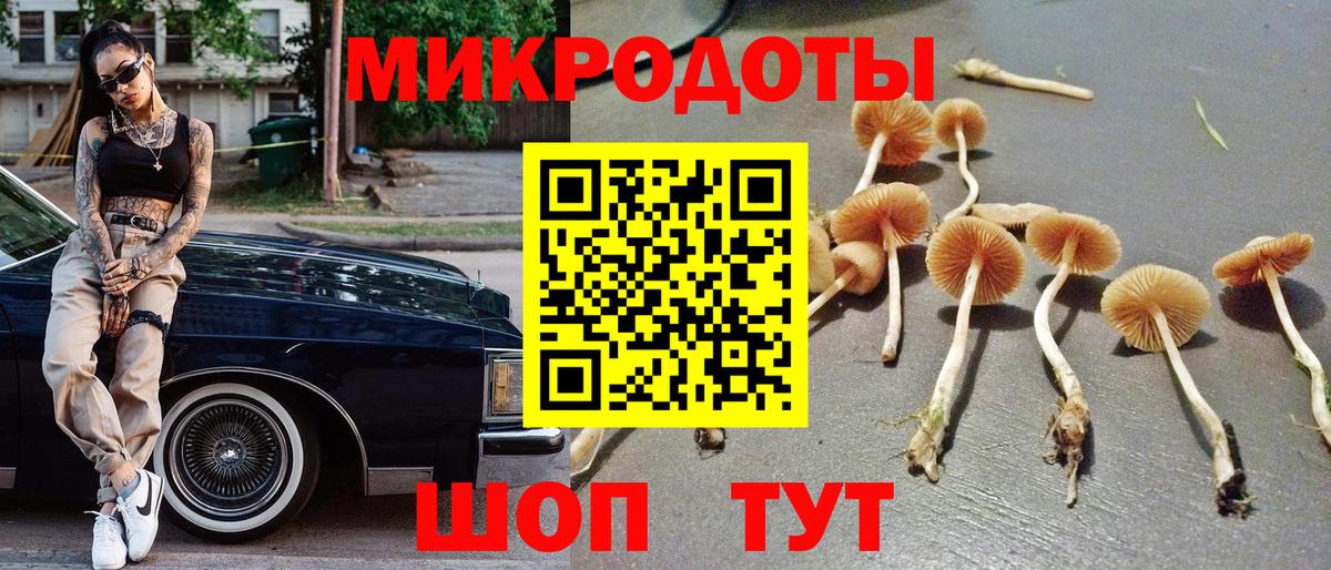 Псилоцибиновые грибы Cubensis  Вход с VPN  Белогорск 