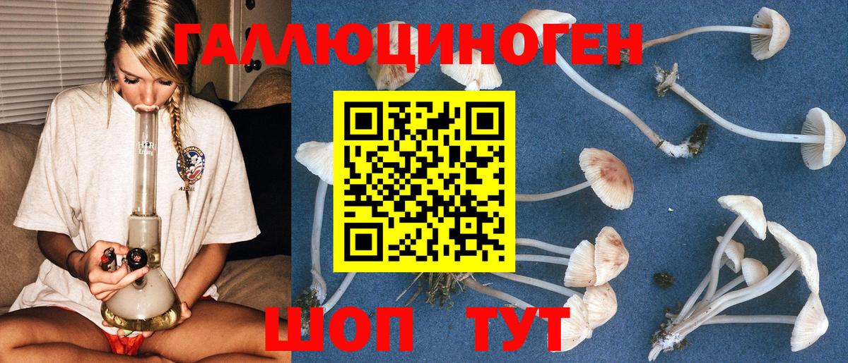 Галлюциногенные грибы мухоморы Белогорск